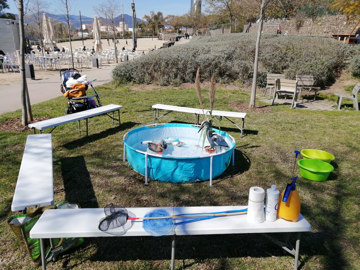 Avui hem començat la <a href="/JugatecaAMB/">Jugatecambiental AMB</a> al parc de la Fontsanta i l'hem fet amb una activitat sobre com cuidar les mases d'aigua. Mireu que xula ens ha quedat la nostra bassa, al mig del parc. @despisostenible <a href="/AjSJDespi/">Ajuntament Sant Joan Despí</a> <a href="/ParcsplatgesAMB/">Parcs i platges AMB</a> #JugatecaFontsanta