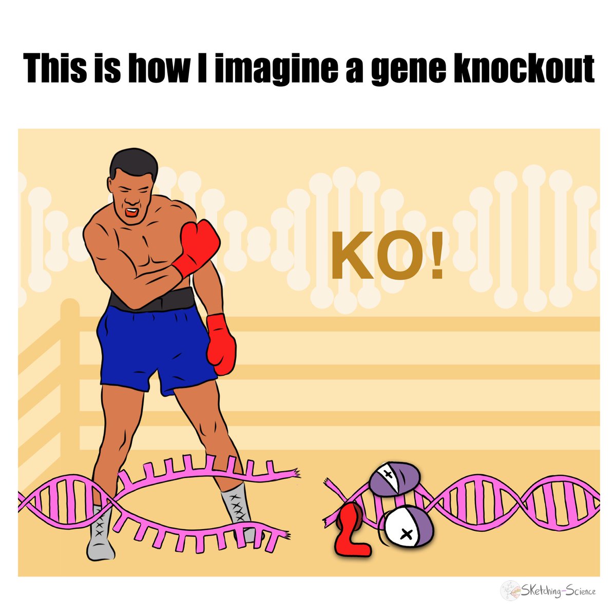 sketchscience's tweet photo. KO! 🥊 https://t.co/Lcixn2Krag