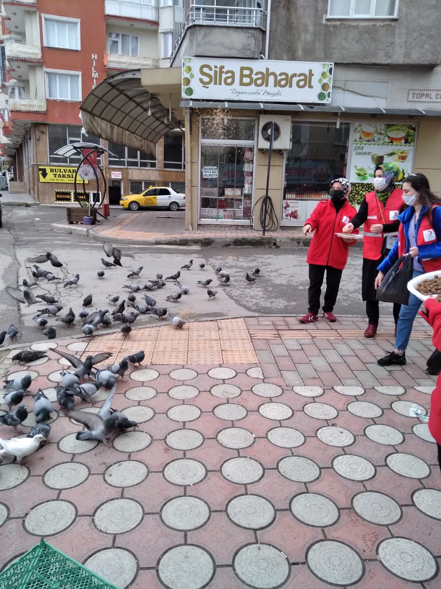 BafraKadin's tweet photo. Soğuk havalarda sokak hayvanlarını unutmadık.Bir Avuç Mama Bir Avuç Mutluluk #kizilay #bafrakızılay #sensizolmaz #iyilikkimeyakışmazki https://t.co/kXVgDP7EeS