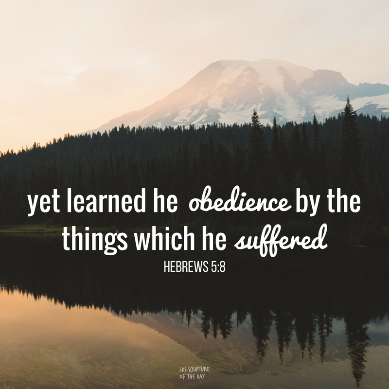LDSsotd's tweet photo. Though he were a Son, yet learned he obedience by the things which he suffered; Hebrews 5:8 https://t.co/609gCpzVvD #latterdaysaints #obedience #suffering https://t.co/BHKE7LYRQA