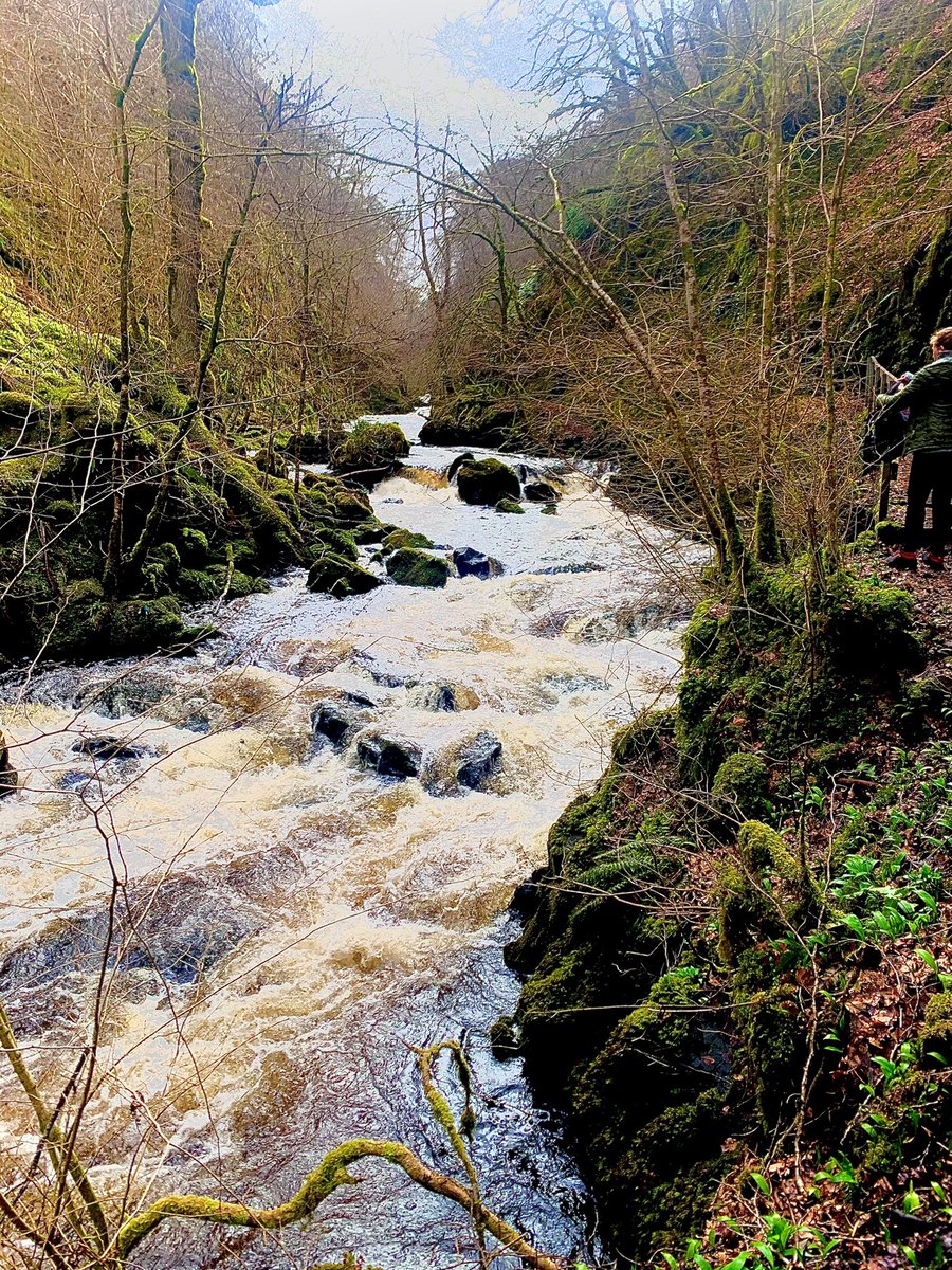 crystal596's tweet photo. Dalmeny falls and ness glen 😍 https://t.co/r9SKwgIyRq