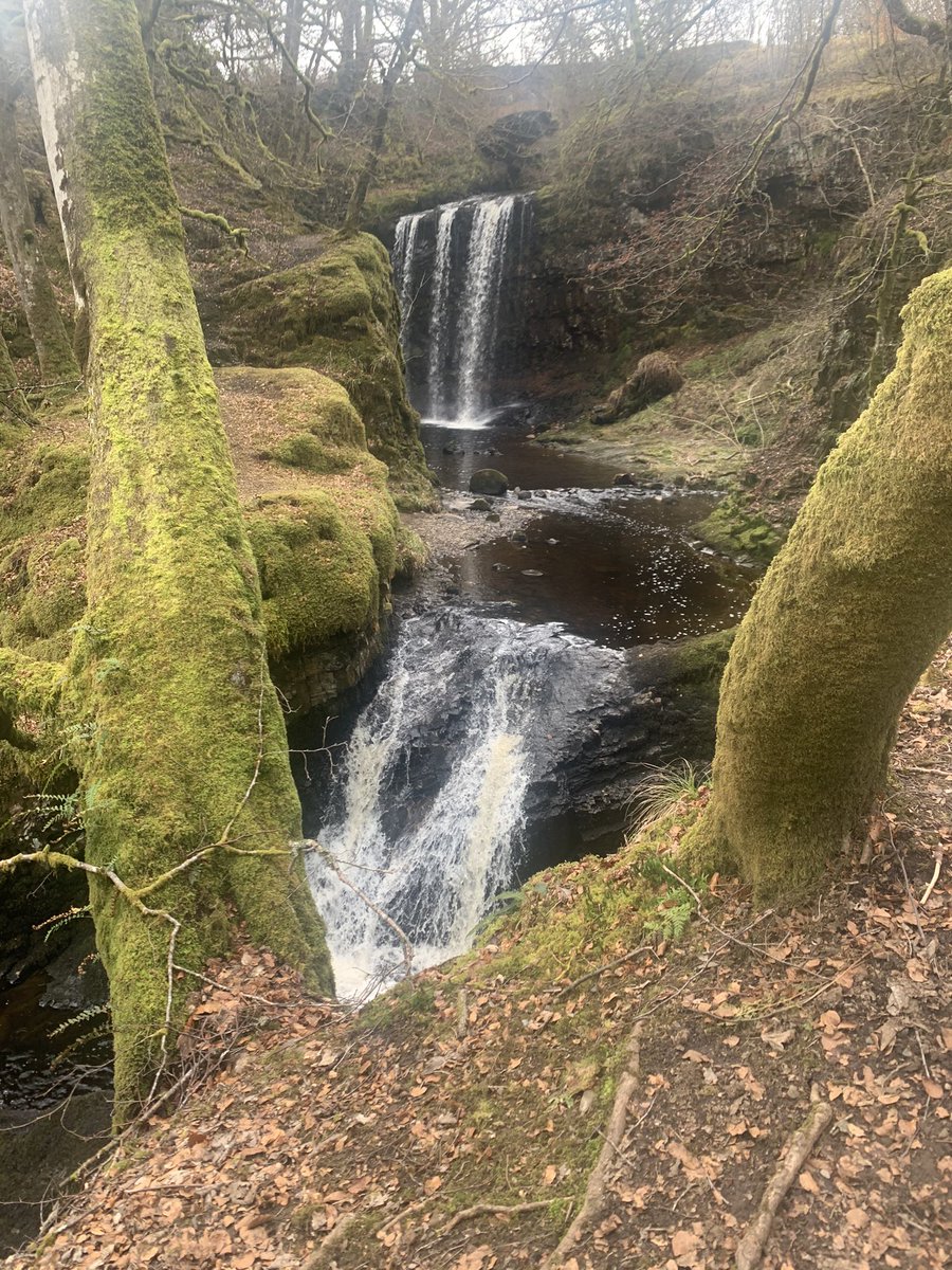 crystal596's tweet photo. Dalmeny falls and ness glen 😍 https://t.co/r9SKwgIyRq