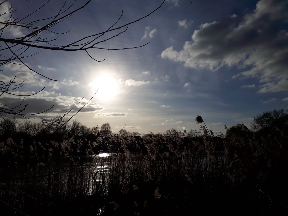 RobJames68's tweet photo. Lovely Sunday afternoon walk #Baffins #MiltonLocks #Langstone https://t.co/4jcUETmVJI