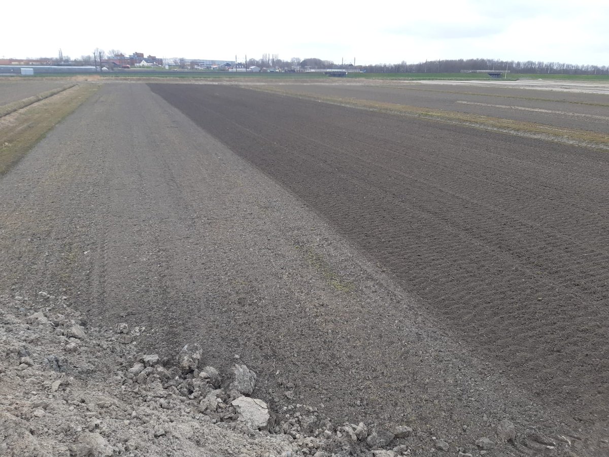 albertboersen's tweet photo. Wat een verschil met vorig jaar.
Morgen moeten de plantuitjes er in. Grond ligt er heel erg mooi bij.
Grond rechts gefreesd en een meer met de rotorkopeg bewerkt. Links moet nog gekopegd worden
#sturon en #redbaron zijn rassen.
#ui https://t.co/flUaPmdMNA