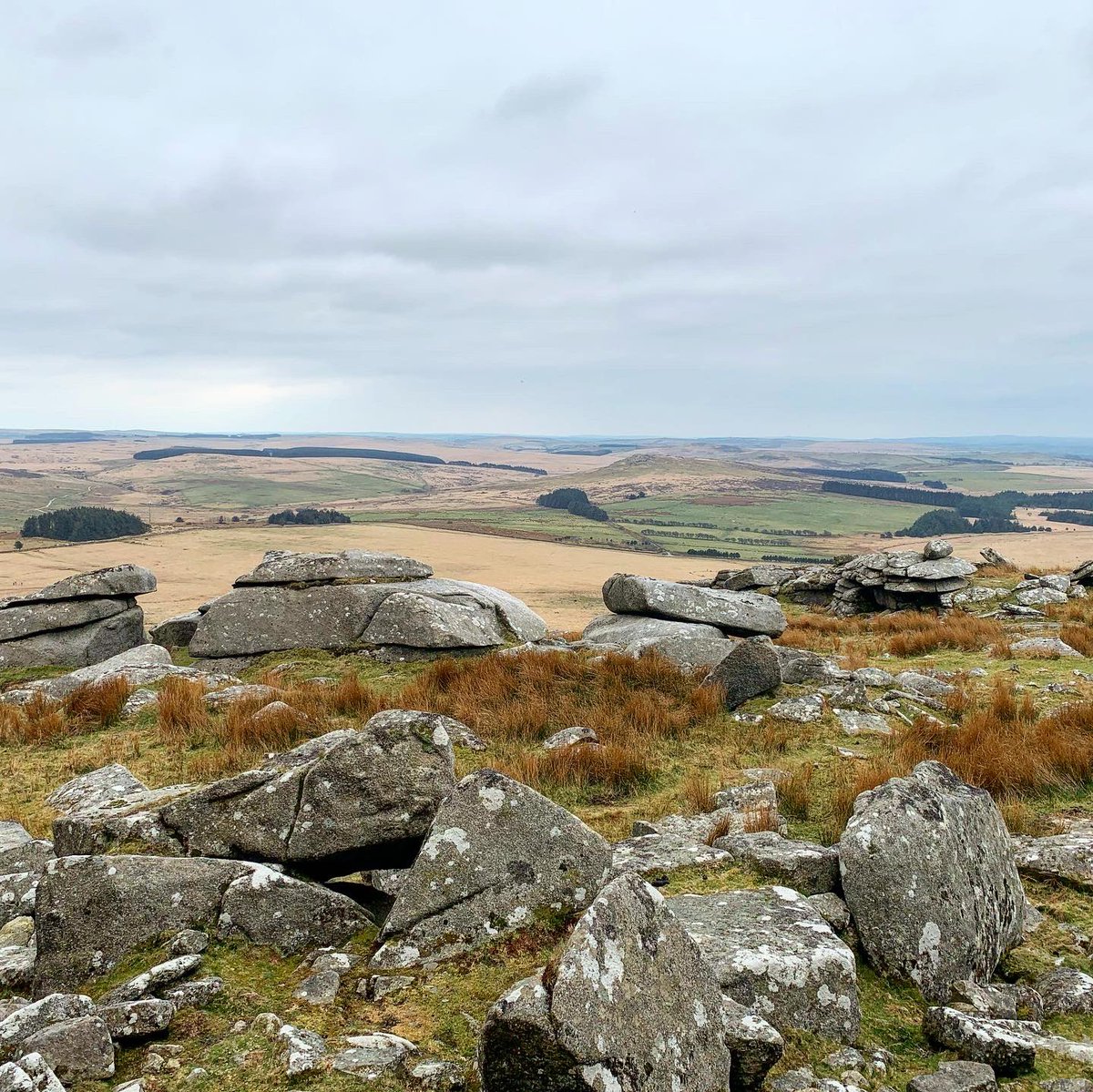 PurpleGeckoEven's tweet photo. #smugglerswaychallenge #stage3saintsandsmugglers #100milechallenge #purplegeckoevents #finalroutecheck #bodminmoor #trailrun #ultrarun #smugglersway #mapreadingessential #ultrarunningincornwall #eventsarego #april #tors #brownwilly #roughtor #jamaicainn 
https://t.co/2OT0eIqrwP https://t.co/BZ23Inftpa