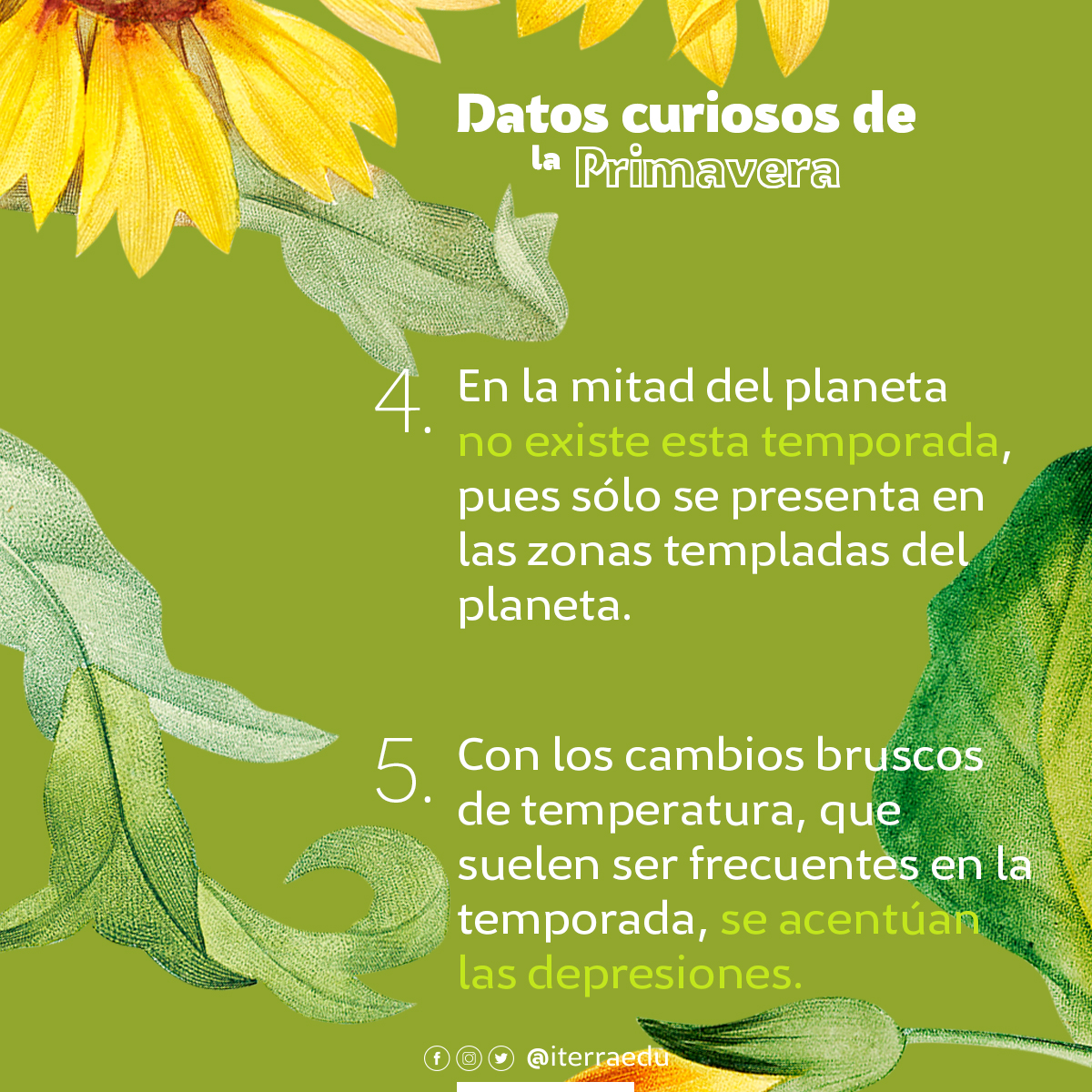 iterraedu's tweet photo. Con la llegada de la primavera comienzan las altas temperaturas y, el aumento de las horas del día hace que las temperaturas suban y las flores crezcan más rápido y florezcan, inundando de color nuestros paisajes 🌻🌷🌼🌺

#primavera #iterra #floreciendo https://t.co/mty4Emg5oV