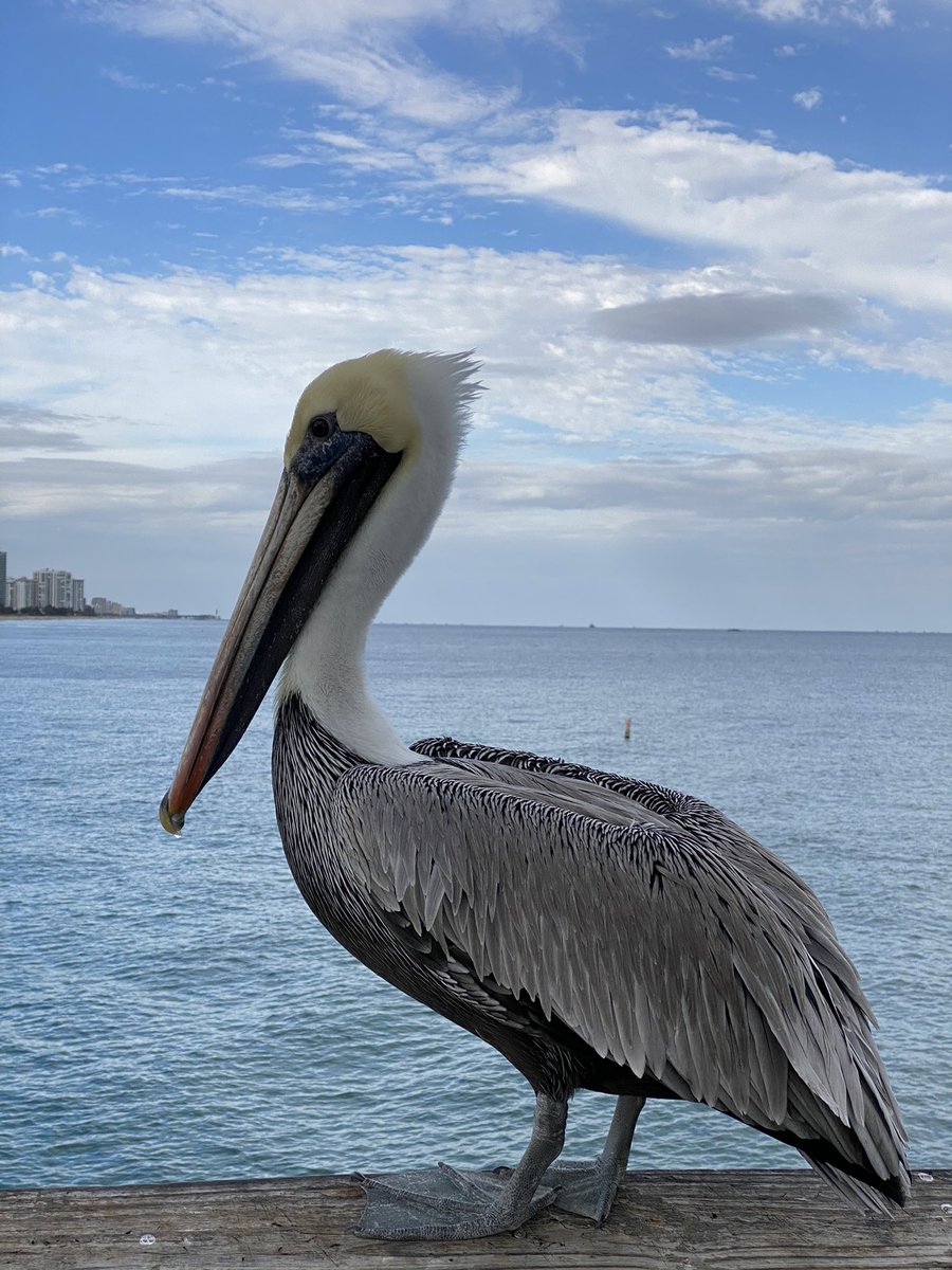 iHeartFOLA's tweet photo. This is why 
i❤️FOLA
#FortLauderdale 
#iLoveFOLA 
#iLoveFTL #FTL 
i❤️FTL https://t.co/JPiyIW66lu