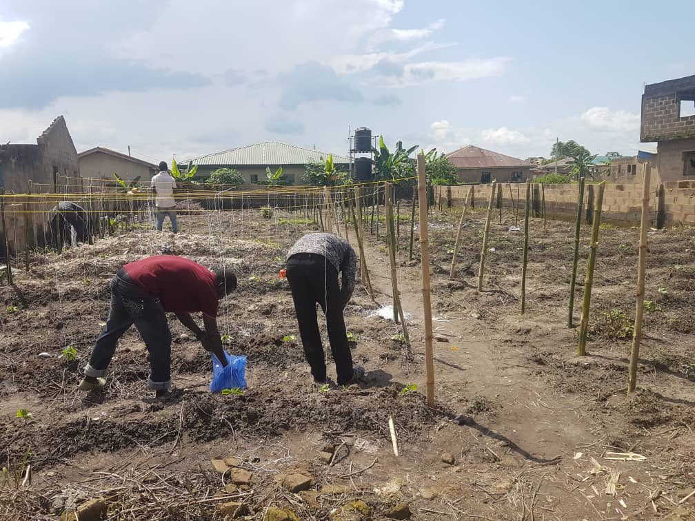 ysguideco's tweet photo. A plot of corner piece land behind Nasfast by total filing station before Mowe FOR SALE.
Title: Deed of Conveyance.
Size: 60 by 120 
Asking Price: 7million(Negotiable) 
SEND A DM FOR FURTHER ENQUIRIES‼️ https://t.co/EpOr9luyb8