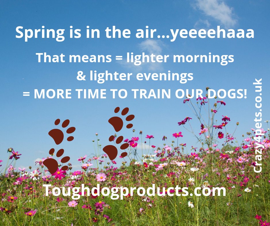 Takodaelsu's tweet image. #springisintheair  #biteworktraining #germanshepherd #dogslife #dogs #dogsofinsta #dogsoftwitter