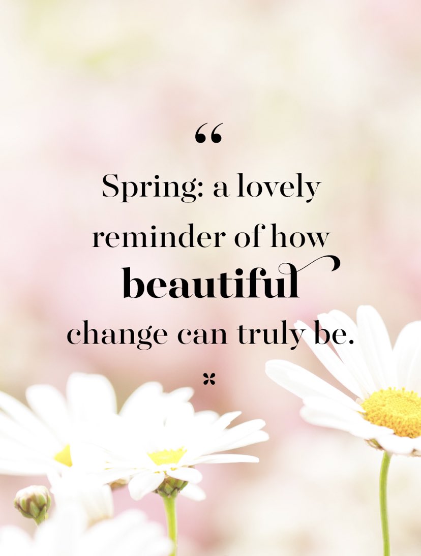 dmanorinteriors's tweet photo. Loving the sun today 🌸 #Spring #quoteoftheday #HappySunday https://t.co/ZMhVtbLpuV