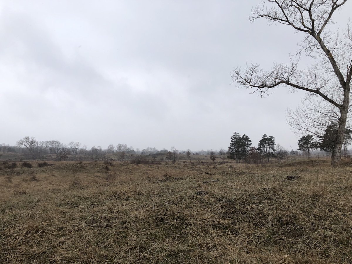 zkun1971's tweet photo. #intlforestday walk in our local #natura2000 #forest and appreciated the role of #deadwood in a functioning #ecosystem #morewildernessinEurope #forestsarenotfuel https://t.co/NFBlgcjEok