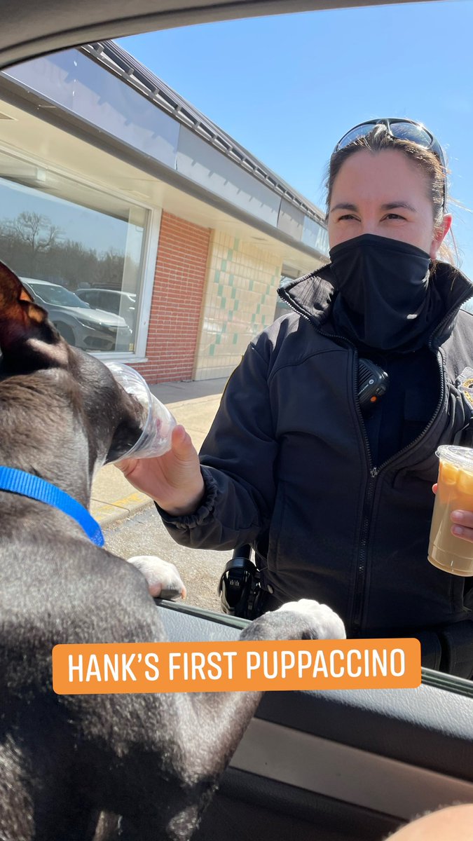 Steph_Wilhelm's tweet photo. Hank received his first puppaccino yesterday from Officer Laura. Thank you! @Topeka_Police https://t.co/NR84EhEWaH