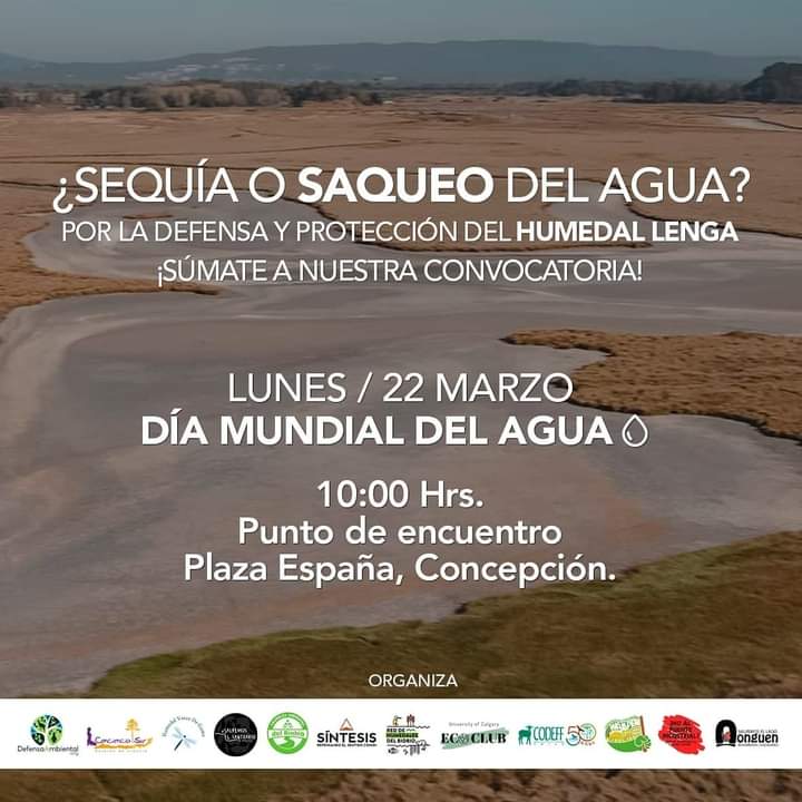 humedalesbiobio's tweet photo. Vamosss, súmate obvio con 😷😷😷😷 y el permiso correspondiente 💪💪💪🔥🔥💧🌱🌍#HumedalLengaen PELIGRO, Basta de abusos‼‼..con @SSNPH y @RedHumedalesCH https://t.co/OcGZdqdf53