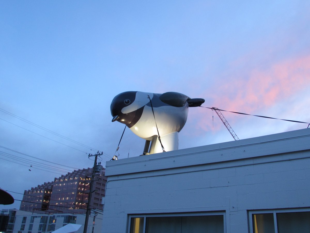 Giant Winter Birds landed in the Quarters just in time for the GLOW festival!  Their arrival made the news: edmontonjournal.com/entertainment/…