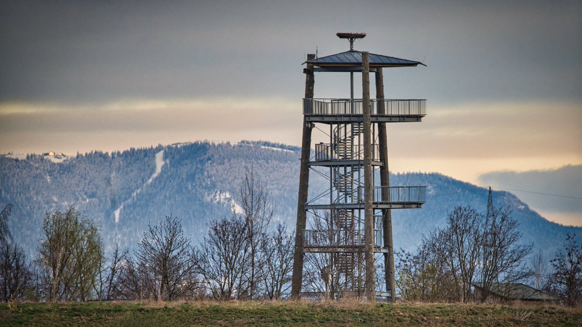 bernhardrein's tweet photo. Weitblick mit Aussichtsturm

#hello_worldpics #awesomepix #visitgermany #visit_germany #blackforest #rust #schwarzwaldtourismus #visitblackforest #bernhard_rein #rust_heimat #reportage #expedition_heimat #nikond850 #schwarzwald https://t.co/yRF5NrWvQJ