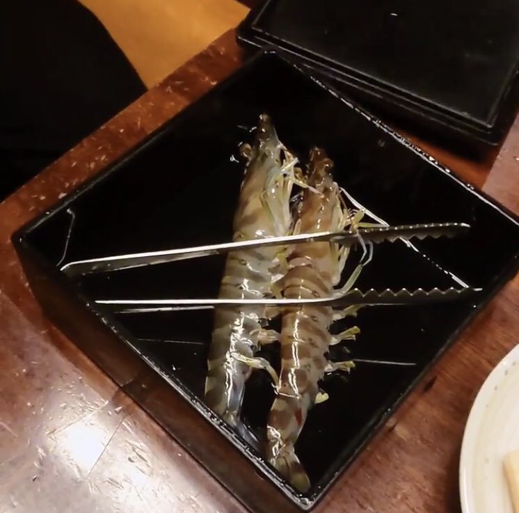 車エビ飼育 Twitter Search Twitter