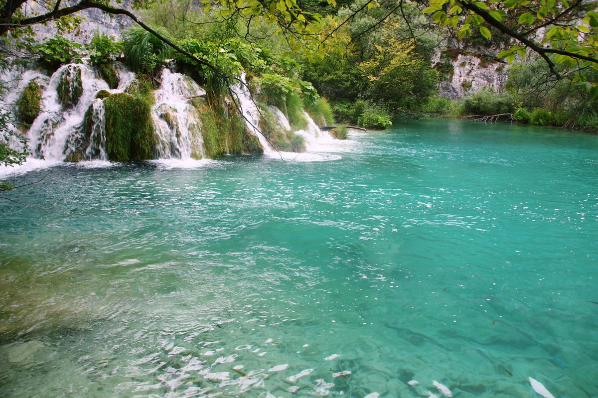 Lauralvarezal's tweet photo. Greenish blue https://t.co/UCEpVrO2KH