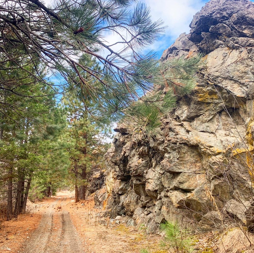 . Equinox love on the @TheGreatTrail near Midway, BC.  @500daysnthewild @TrailsBC  @Trails2Boundary