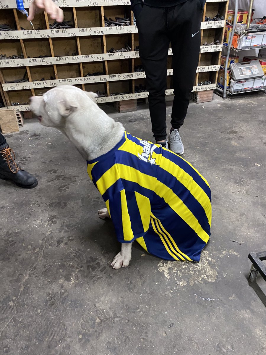 Fenerbahçe bir kere üzme be