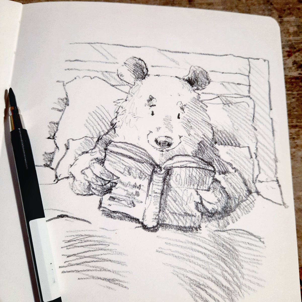 Happy Sunday afternoon lovely people. 
I hope that you are having fun.
Bertram is enjoying a good book. 
#bertrambear #agoodbook