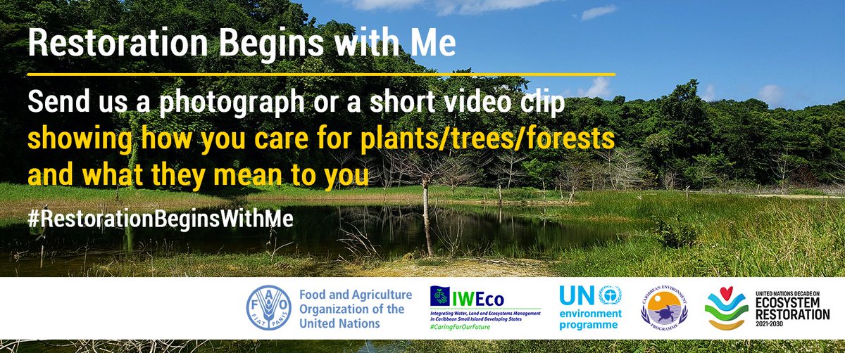IWEco Project tweet media