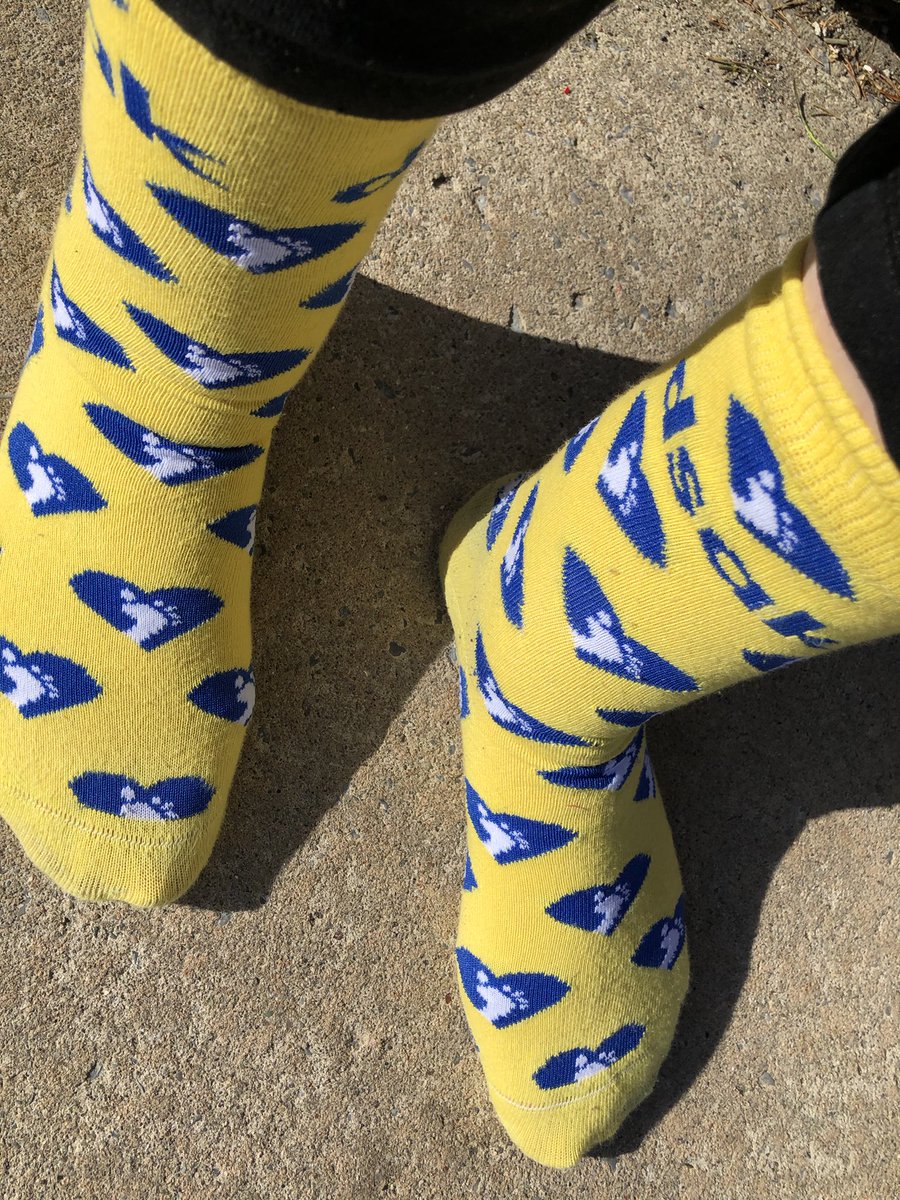 MsChilderhose's tweet photo. #WorldDownSyndromeDay 💛💙
#crazysocks https://t.co/SA9zuVZlH9