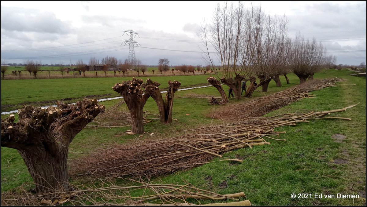 EdvanDiemen's tweet photo. Door knot werkzaamheden is het wandelpad Liniedijk tussen Abcoude en Nigtevecht tijdelijk wat minder toegankelijk. https://t.co/bjs6bzWmBp