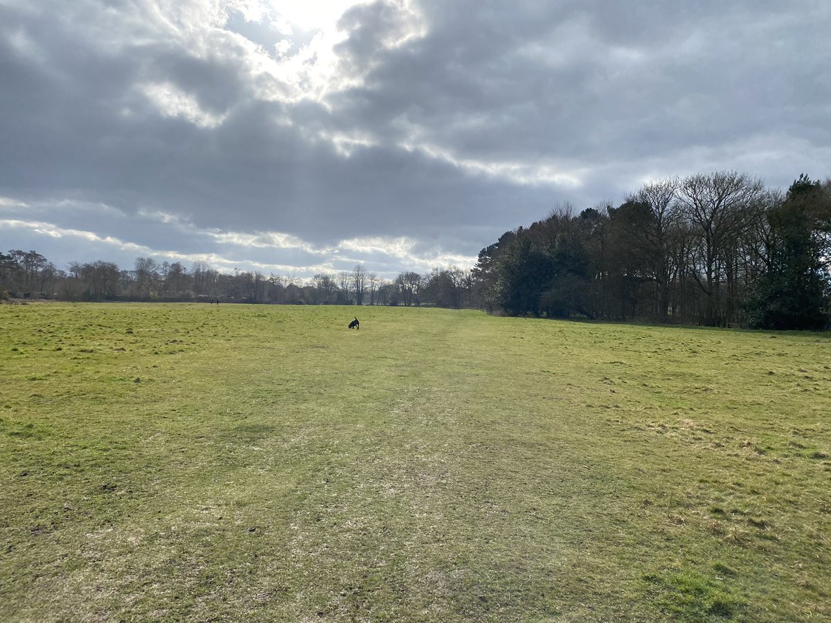 ange_ham's tweet photo. Lovely walk today in #Lichfield #Lockdown has yet again made me appreciate what is right on my doorstep! #staylocal #ThreeSpires #woods #fields https://t.co/puiQiQ02Xx