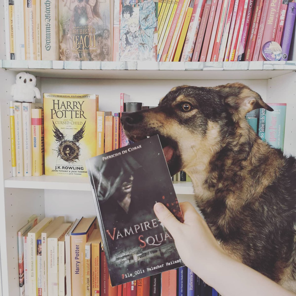 Jaelaki's tweet photo. Ihr könnt ein Taschenbuch gewinnen. Einfach bei mir auf Instagram oder/und Facebook vorbeischauen. ✍️😉
#VampireSquad https://t.co/iYGQR8hRcq