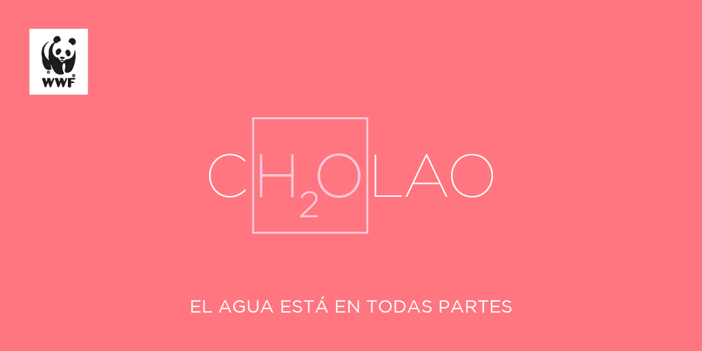 WWFColombia's tweet photo. ¿Saben qué tienen en común el chocolate, la hormiga, el chontaduro y el cholao? ​¡El agua💧💚!

​Mañana los invitamos a hacer parte del movimiento digital que busca llamar la atención sobre lo fundamental de este recurso para la naturaleza. #aH2Ora es el momento de actuar.💪 https://t.co/QkdeShgYrK