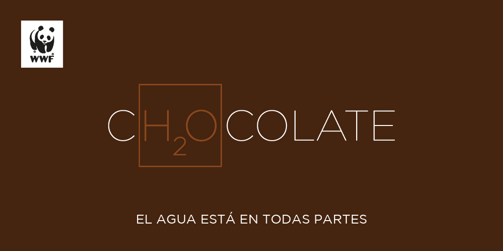 WWFColombia's tweet photo. ¿Saben qué tienen en común el chocolate, la hormiga, el chontaduro y el cholao? ​¡El agua💧💚!

​Mañana los invitamos a hacer parte del movimiento digital que busca llamar la atención sobre lo fundamental de este recurso para la naturaleza. #aH2Ora es el momento de actuar.💪 https://t.co/QkdeShgYrK