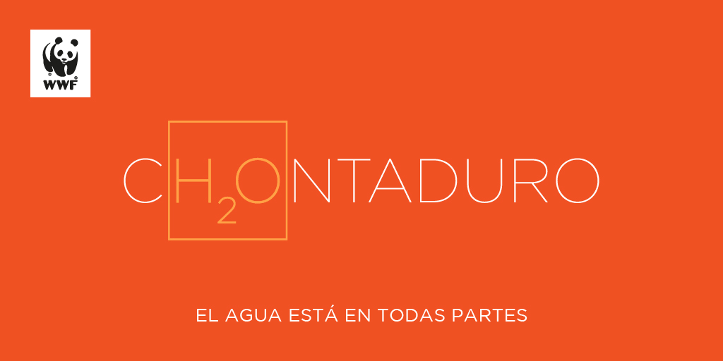 WWFColombia's tweet photo. ¿Saben qué tienen en común el chocolate, la hormiga, el chontaduro y el cholao? ​¡El agua💧💚!

​Mañana los invitamos a hacer parte del movimiento digital que busca llamar la atención sobre lo fundamental de este recurso para la naturaleza. #aH2Ora es el momento de actuar.💪 https://t.co/QkdeShgYrK