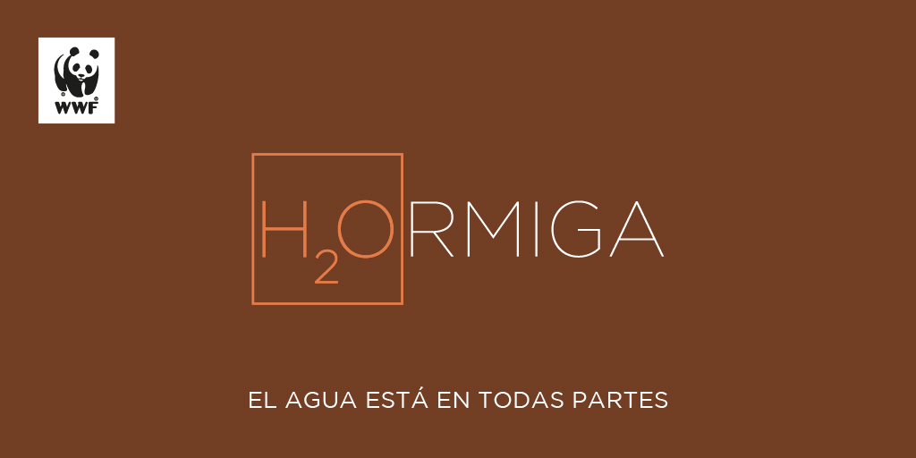 WWFColombia's tweet photo. ¿Saben qué tienen en común el chocolate, la hormiga, el chontaduro y el cholao? ​¡El agua💧💚!

​Mañana los invitamos a hacer parte del movimiento digital que busca llamar la atención sobre lo fundamental de este recurso para la naturaleza. #aH2Ora es el momento de actuar.💪 https://t.co/QkdeShgYrK