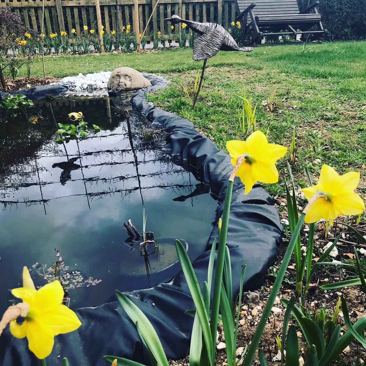 CycleKatieLou's tweet photo. Summers coming #tadpolesinthepond https://t.co/FlykZHSSKw