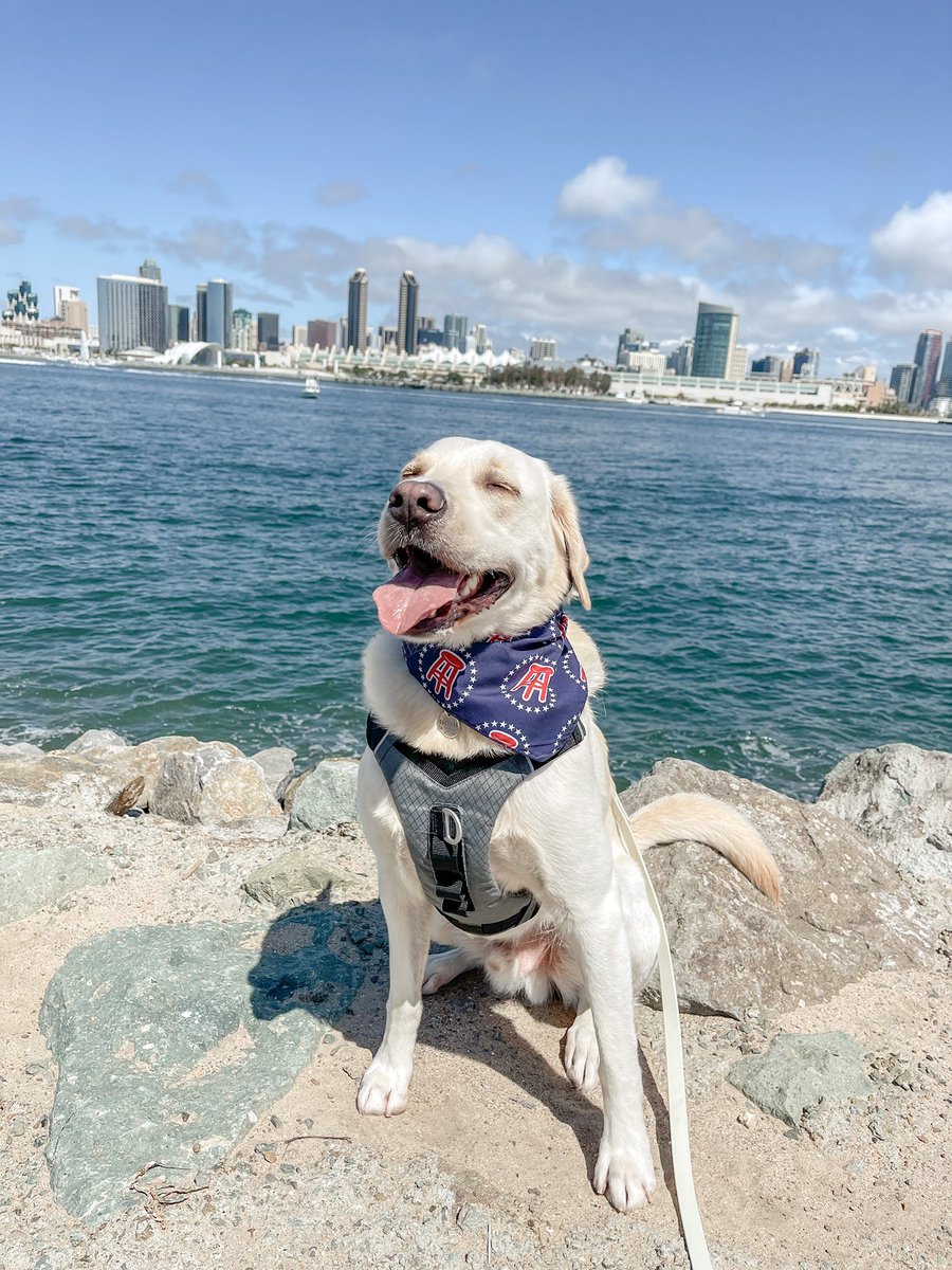 #SundayFunday <a href="/barstoolsports/">Barstool Sports</a>