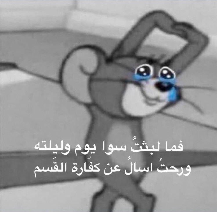 رياكشنات توم وجيري tweet media