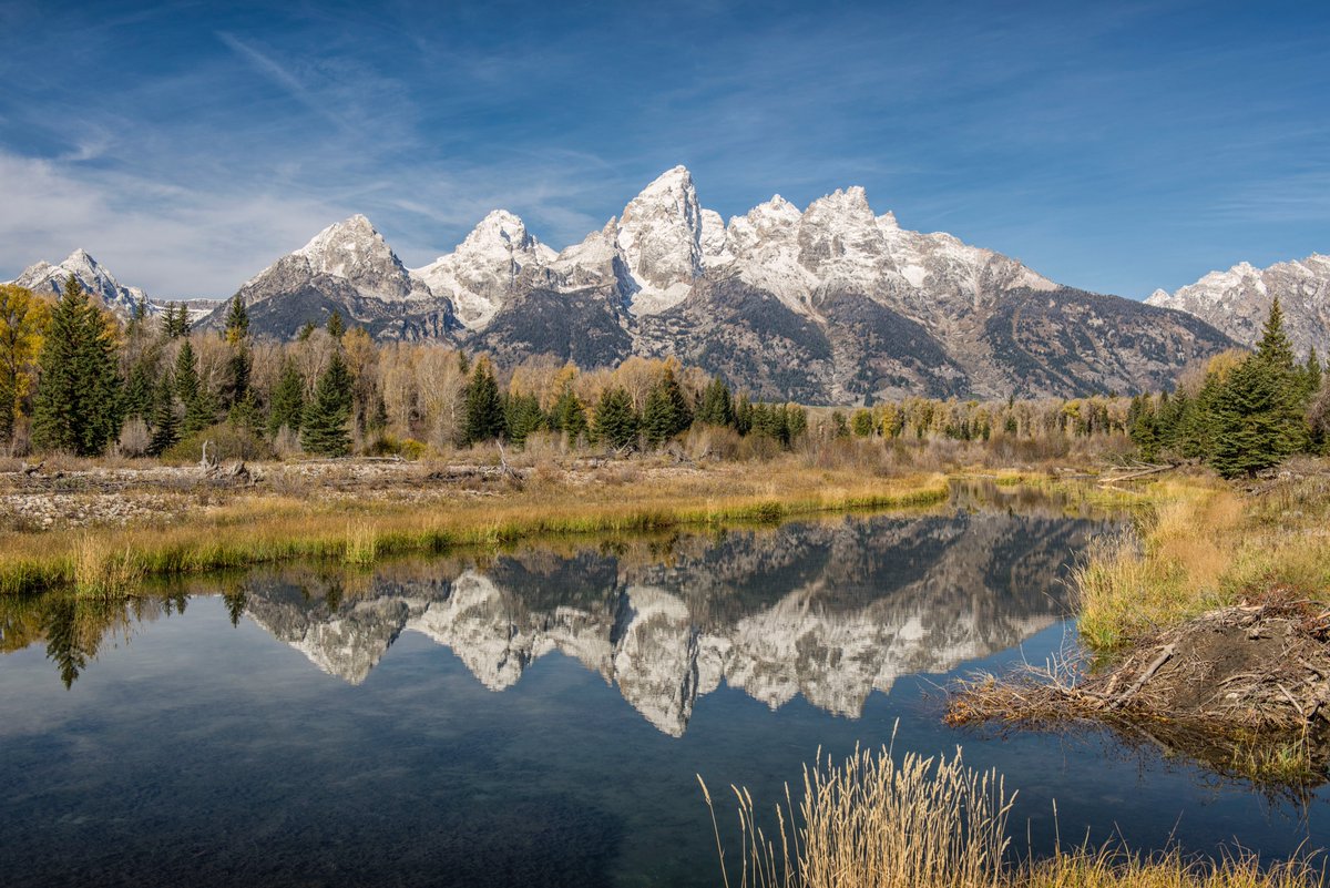 Stacy White tweet media