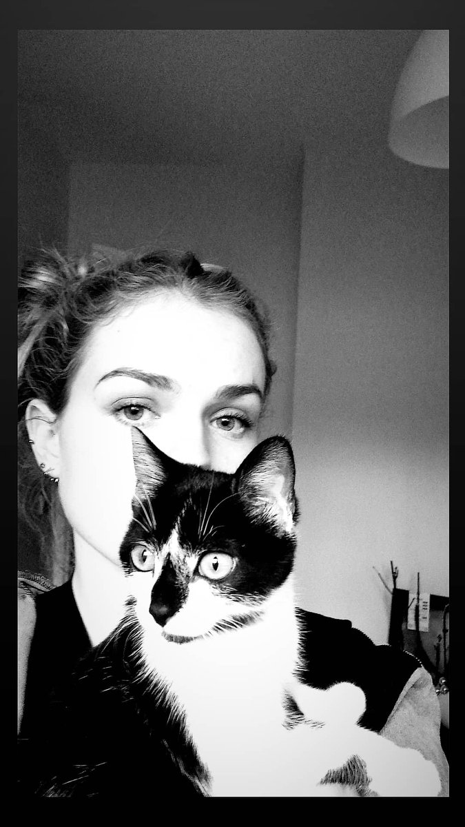 Frenchiexstyles's tweet photo. Faites moi pas flop #LGBTQIASpring21 https://t.co/I1YEqteKYq