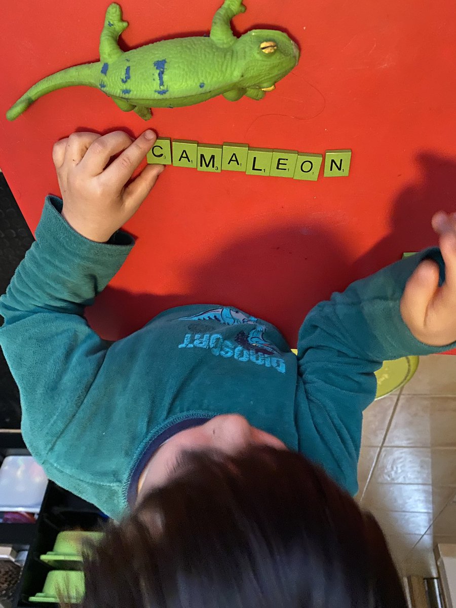 EliCatalan2's tweet photo. Having fun with COLOURED SCRABBLE LETTER TILES!!💚
Bought the tiles on @wish_esp 
#funwithletters #learningtheletters #mycutelittleboy https://t.co/jYzgH8GHn5
