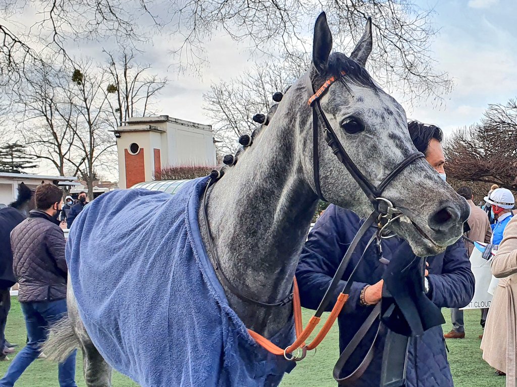 Spring is here and so is (really) the flat season. The Prix Exbury, first Group race of the year in France, was won - quite easily - by the wonderful Skalleti 🧡🤍  #TheFlatIsBack