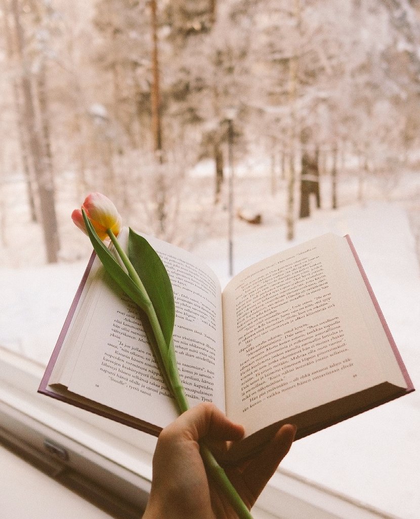 kitapp_dostu's tweet photo. ✔Şu anda hangi kitabı okuyorsunuz?🤔📚

#kitapönerisi #kitapseverlertakiplesiyor 
#kitabinisec #bookstagram
#kitapalintisi #bookphotography https://t.co/DR4aGIQ9oI