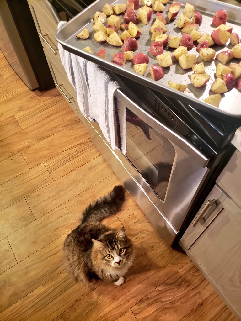 Floof_bois's tweet photo. Helping mom make potatoes 🥔 i don't look like those thimgs.. why does she call me one? 
-Alphonse https://t.co/gyoH3m6WBD