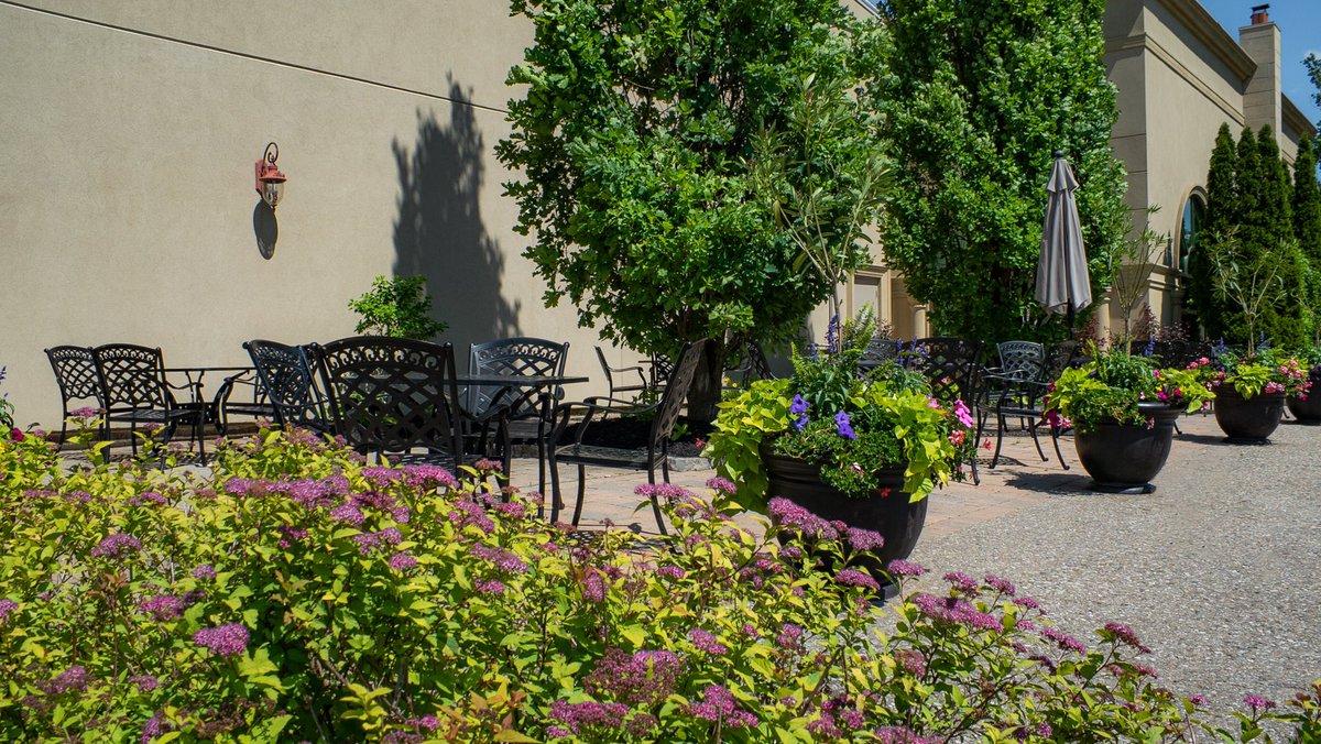 consulatedining's tweet photo. Patio season has officially started! Our patio is open today till 6pm🌼 https://t.co/9Kr7sQNWSY #caledon #lovelocalcaledon #boltonontario #orangevilleontario #brampton #gtafoodie #torontofoodie #tastetoronto #tastethesix https://t.co/vwewPdHLKb