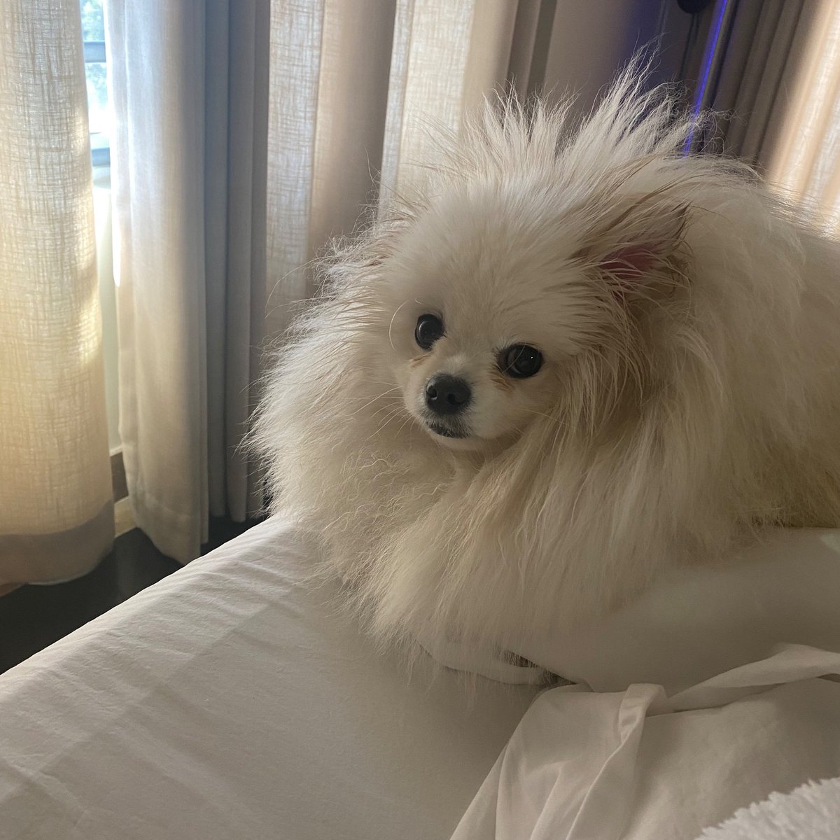 Nikkibenz242's tweet photo. I would die for them🥺♥️ https://t.co/nUDI41J2HQ