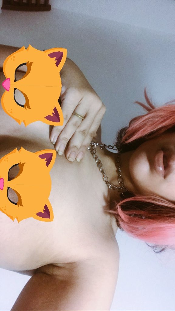 onlyevelynfans's tweet photo. Dominguinho bom pra comprar um pack ein

#divulgapack #onlyfans #promote #rt #rtforrt #trocort #vendopack #packdopezinho #gostosas #piranhas https://t.co/IXS1ys4DFO