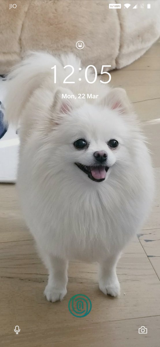 dragonitefang's tweet photo. @jummychu2 Thank you for my new wallpaper, sir! https://t.co/hvjE20cdZ8