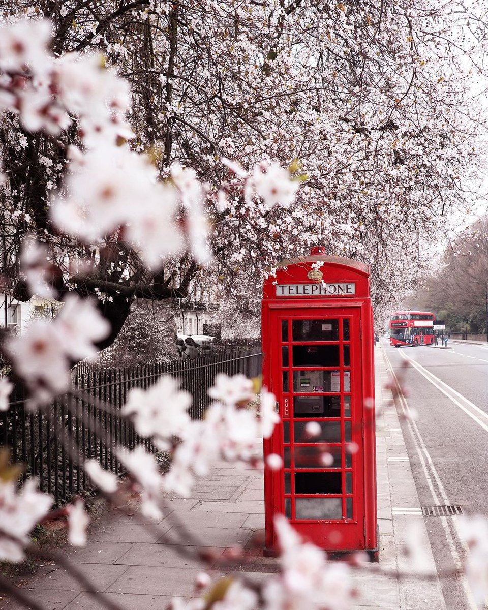 visitlondon's tweet photo. Spring is calling 🌸 #VisitLondon [📸 via IG @the_lazyfoodie] https://t.co/QVetdRr9GA