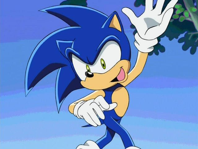 24 Facts About Sonic The Hedgehog (Sonic X) 