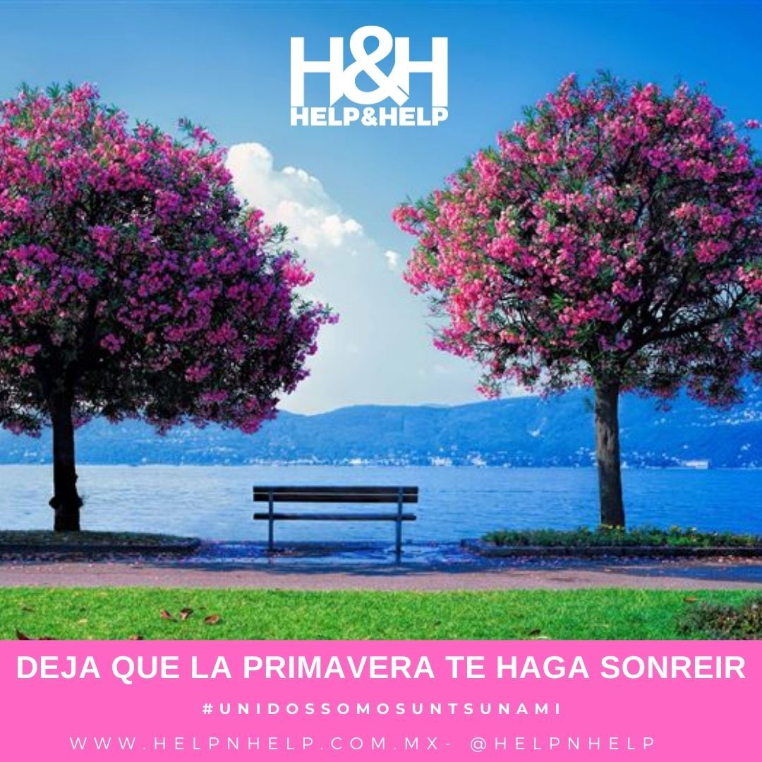 helpnhelp's tweet photo. 👉 ¿Te gustaría que más personas vean tus productos y servicios?

✅ No esperes más y únete a los grupos de Facebook de Help&amp;Help 

👊 ¡Pregúntale a tu embajador! 

👇👇 ÚNETE YA👇👇

👉  https://t.co/98PiBl3u91 

#solossomosunagotaunidossomosuntsunami https://t.co/zwtxeFxW31