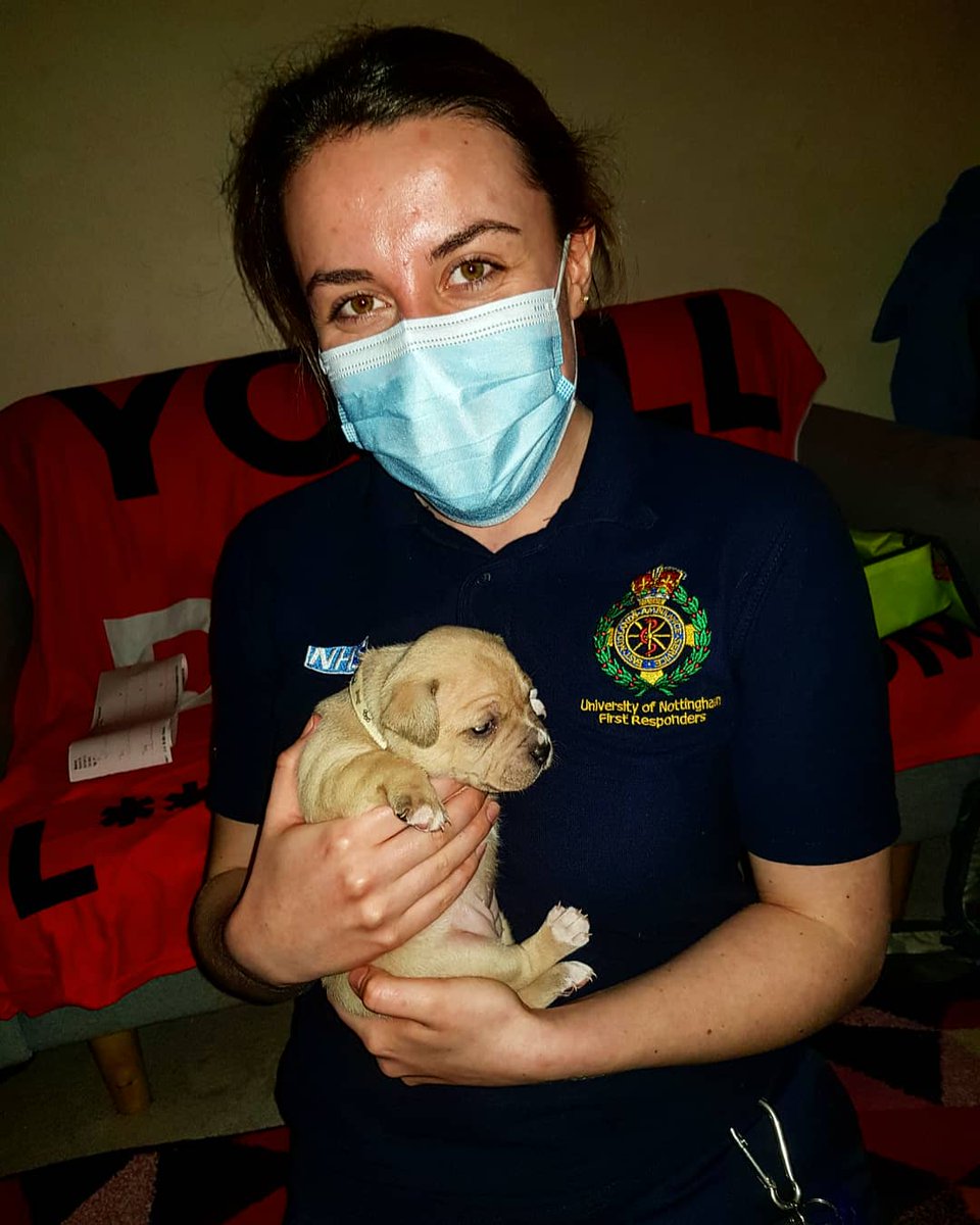 Very pleasant recent surprise for two of our CFRs when the patient had seven 3-month-old staffie puppies 😍 Promise we attended to them before cuddling the pups! #PerksOfTheJob #DogsOfTwitter